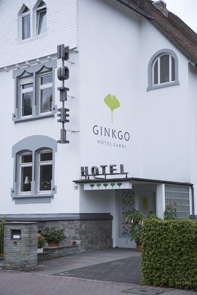 Ginkgo Hotel Oberursel Luaran gambar